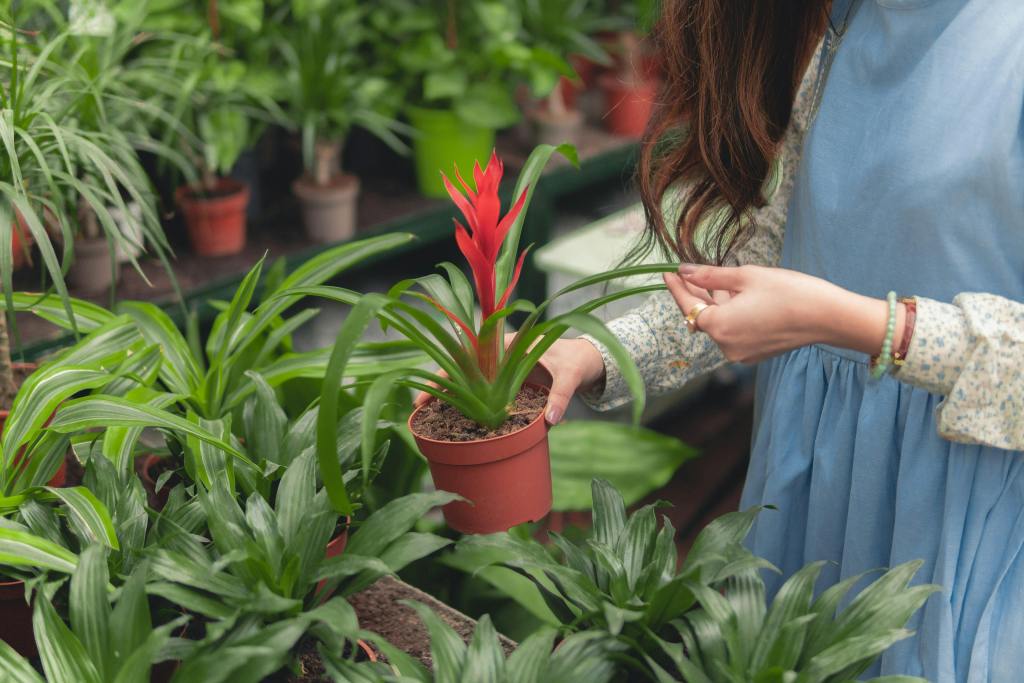 Women nurturing her plants 